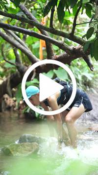 BIB:  <button type="button" onclick="openModal(27493564)" class="btn btn-primary btn-sm float-right" data-toggle="modal" data-target=".modal-high-quality">
                <i class="fa fa-download"></i> Download
                </button>